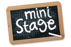 Mini stages en lycée